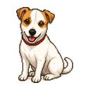 Wendy, the dog behind the pi-sprite companion